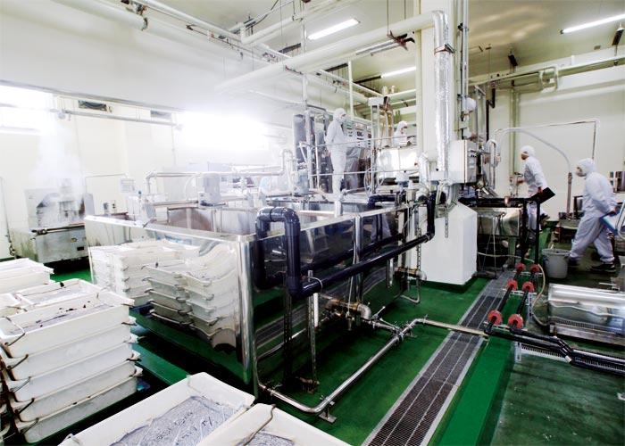 食品工場 生餡新設工事