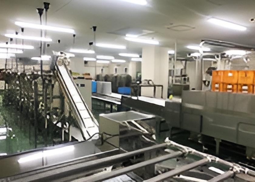 搾汁ライン完成